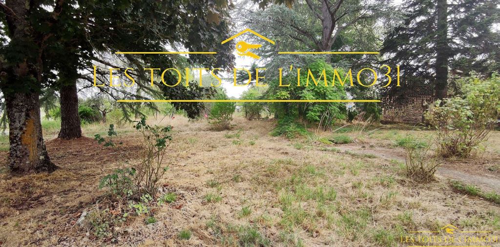 Terrain ISSUS 82000€ Agence Les Toits de l'Immo31 Terrain ISSUS 82000€ Agence Les Toits de l'Immo31